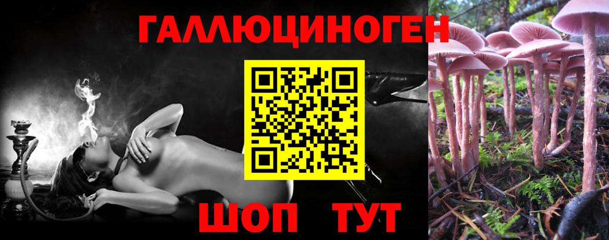 Муром  Псилоцибиновые грибы мицелий  Вход с VPN 