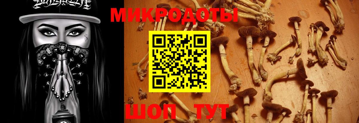 Галлюциногенные грибы мицелий Муром